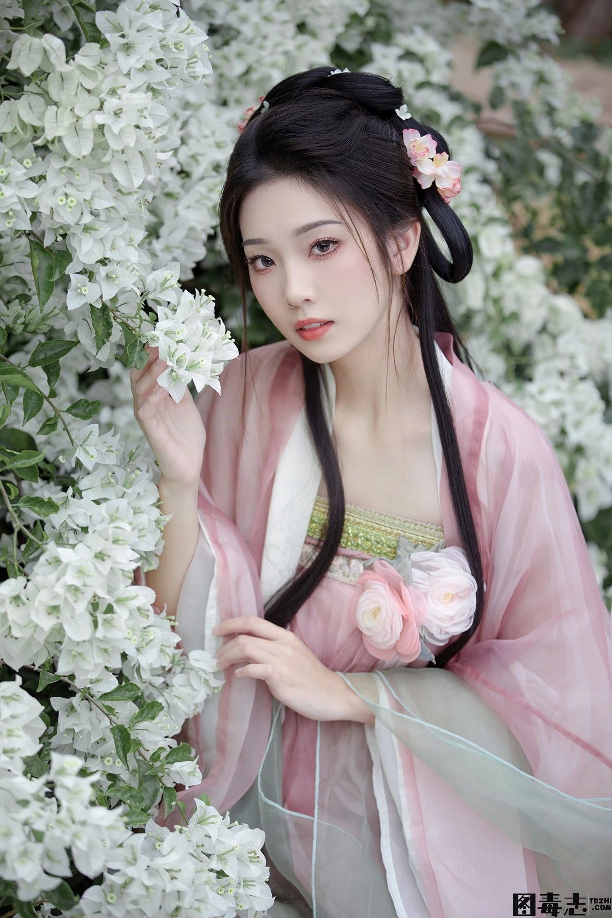 [芝芝琪] 树枝雪