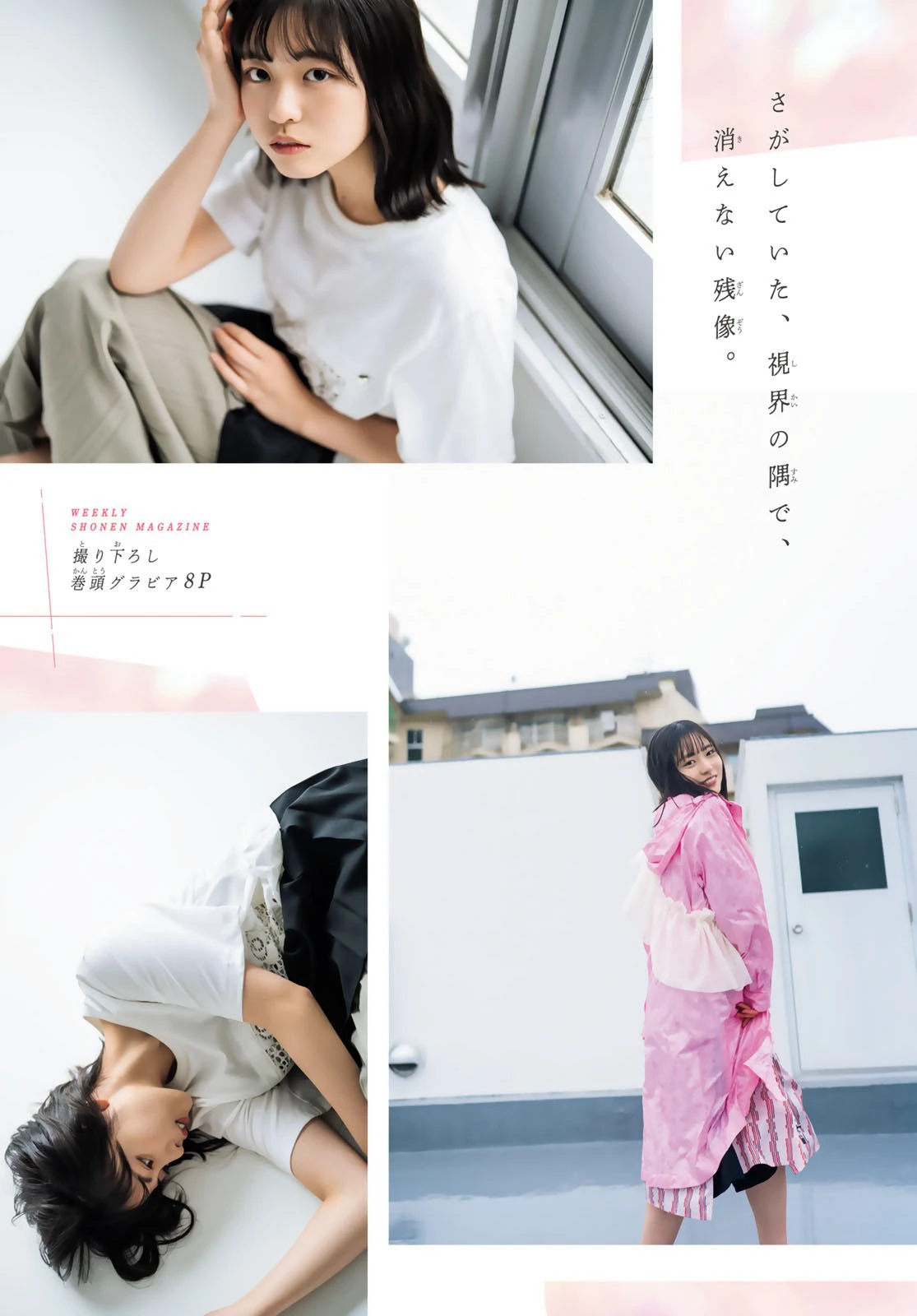 [shonen magazine] 2024 no.20 日向坂46 正源司陽子