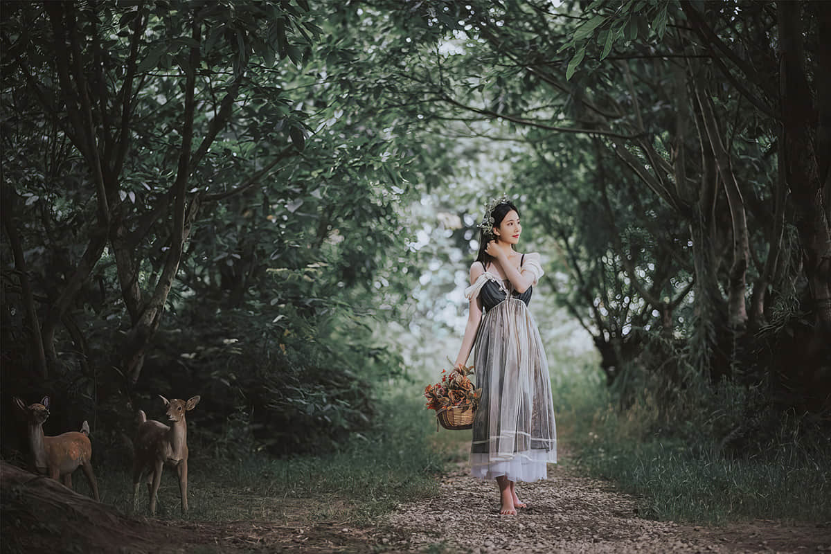 年年Nnian - 爱丽丝仙境