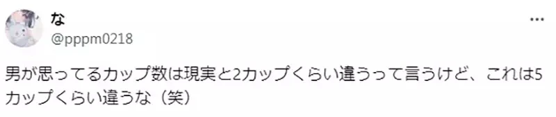 《二次元插画的罩杯问题》这种尺寸竟然说只有D罩杯？男人都容易有这种误会吗？