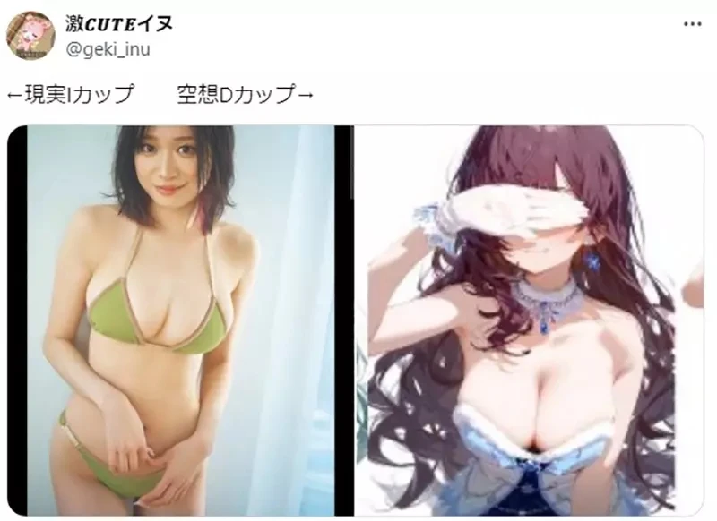 《二次元插画的罩杯问题》这种尺寸竟然说只有D罩杯？男人都容易有这种误会吗？