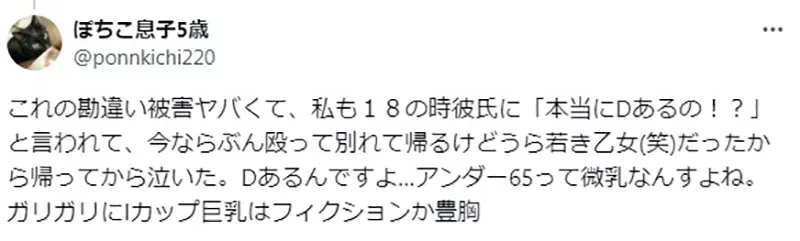 《二次元插画的罩杯问题》这种尺寸竟然说只有D罩杯？男人都容易有这种误会吗？