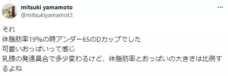 《二次元插画的罩杯问题》这种尺寸竟然说只有D罩杯？男人都容易有这种误会吗？