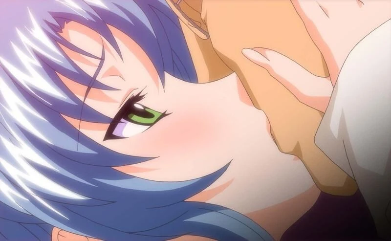 2024年2月里番预告时间表