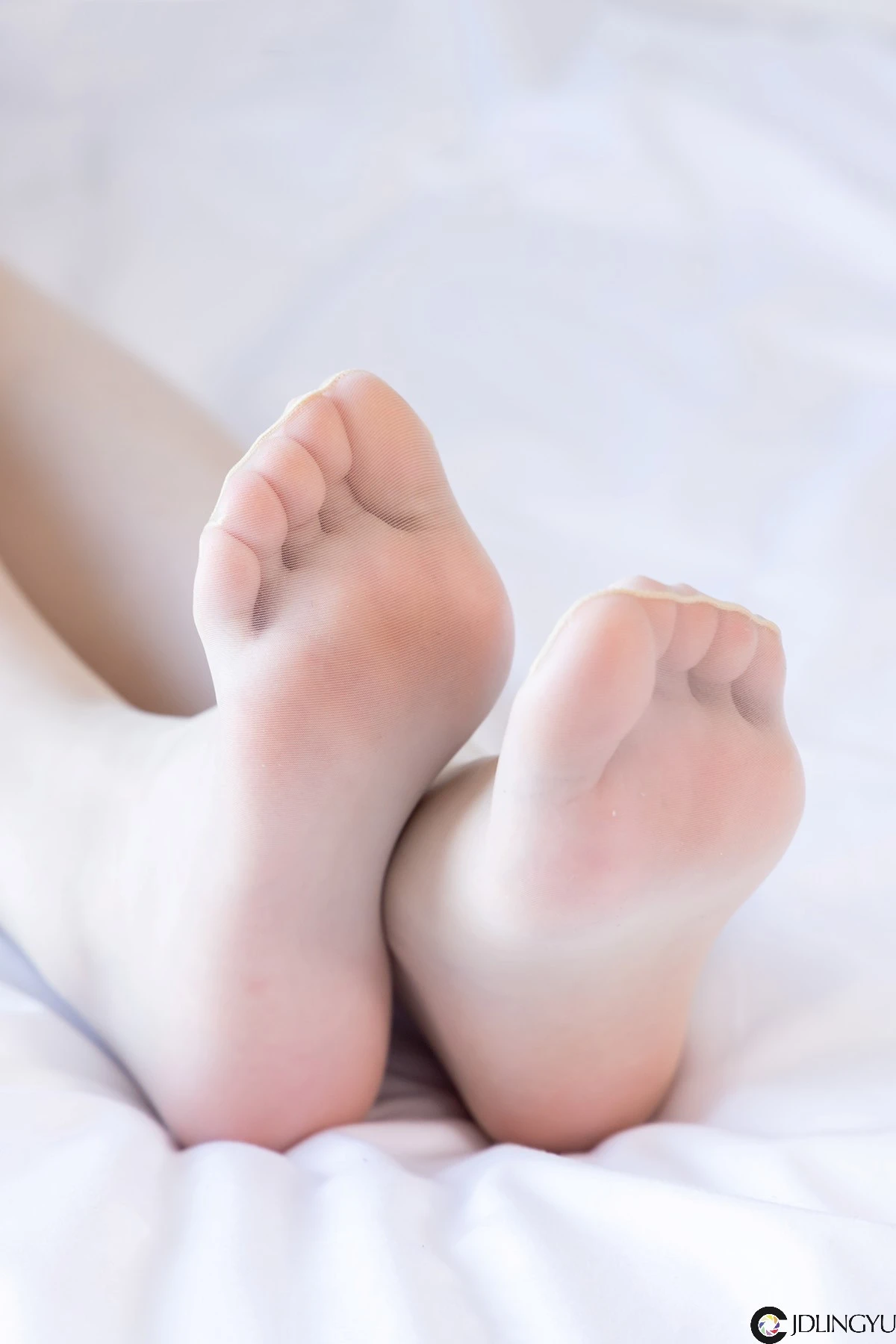 368 (109)_11_22_2024