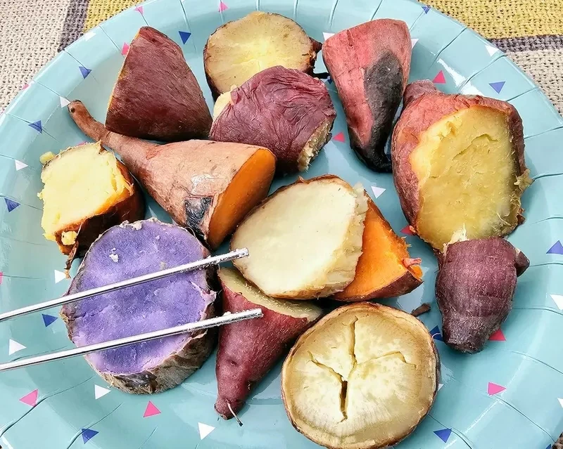 qZ6Vn87Jw6fK2qqfw7TQuti6kqrU.webp_11_25_2024