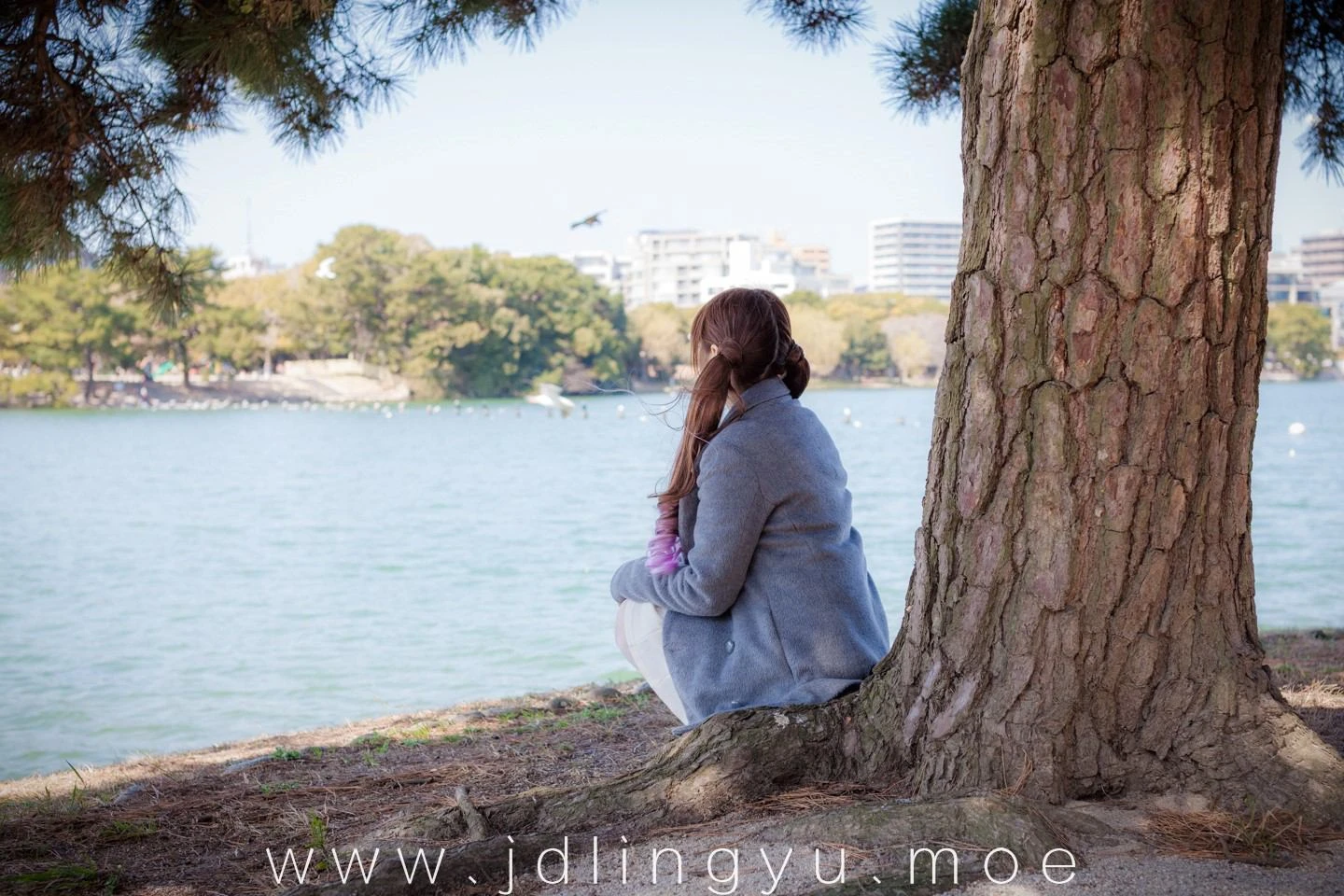 2016-11-20_00-25-01_11_26_2024