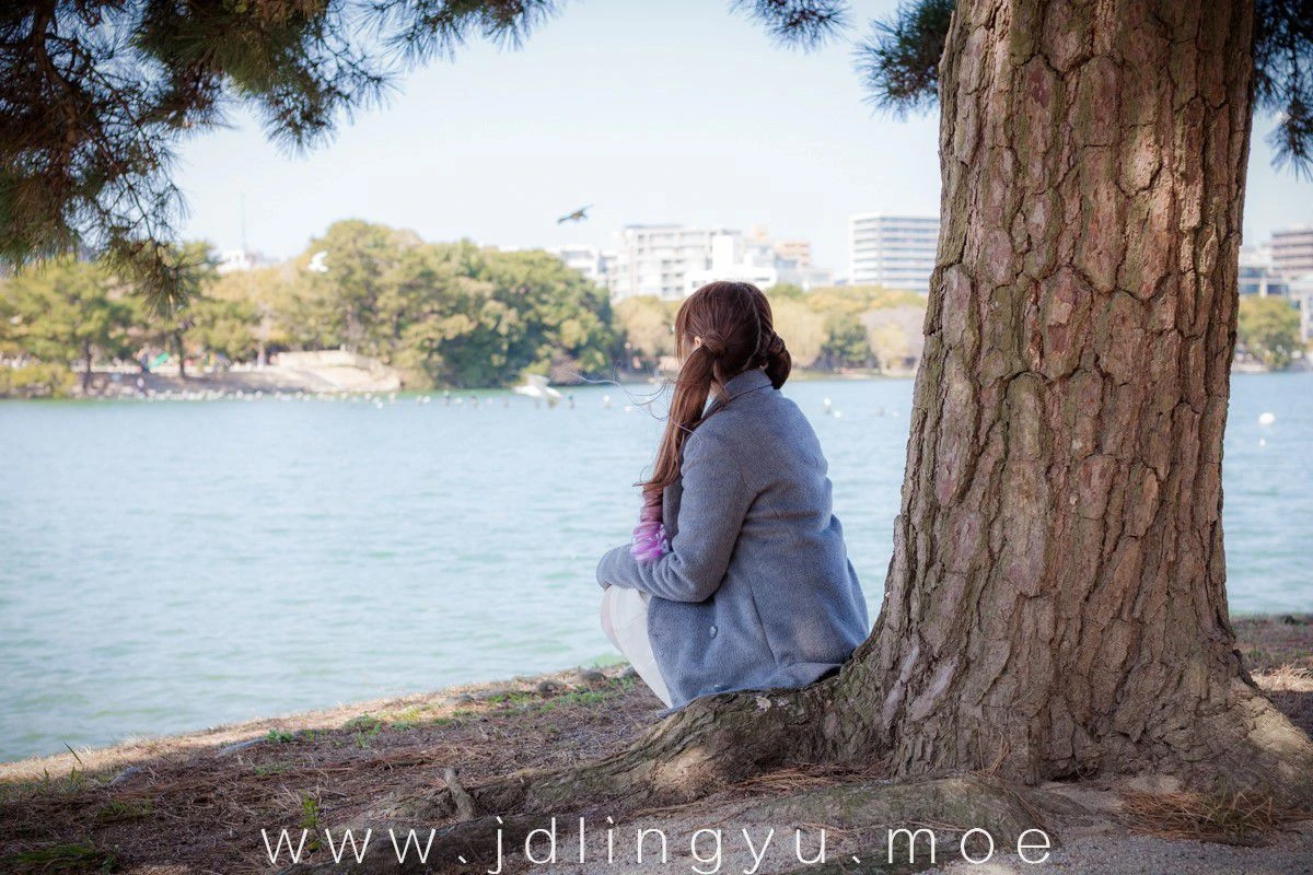 2016-11-20_00-25-04_11_26_2024