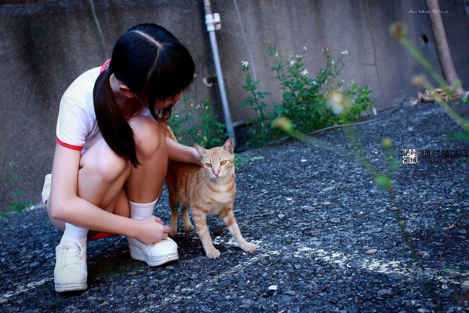 2016-11-29_22-51-56_11_26_2024