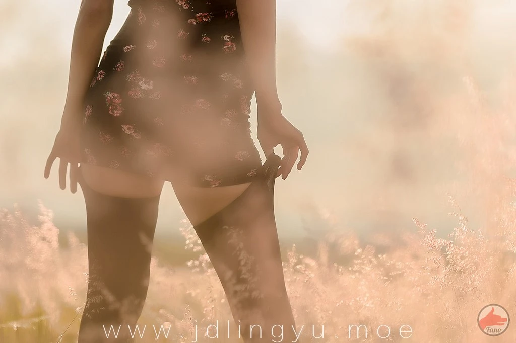 2016-12-04_22-30-07_11_26_2024