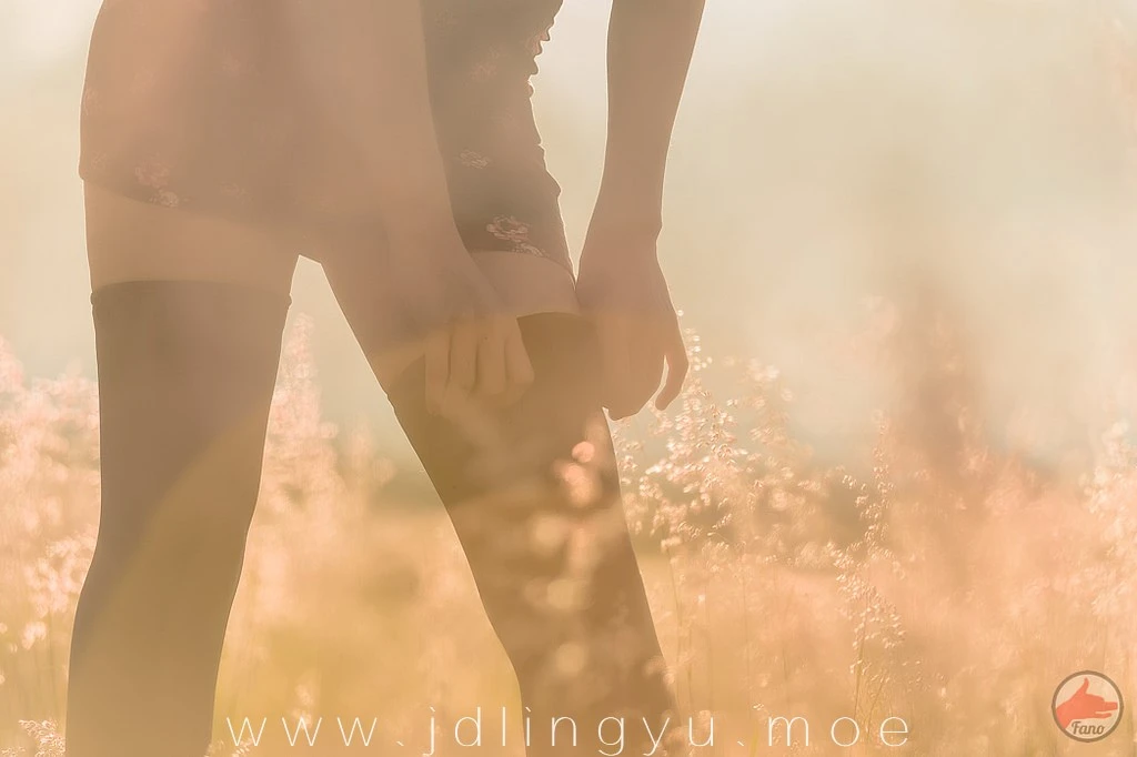 2016-12-04_22-30-24_11_26_2024