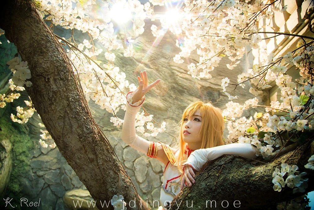 Asuna (SAO) Cosplay by Tomia