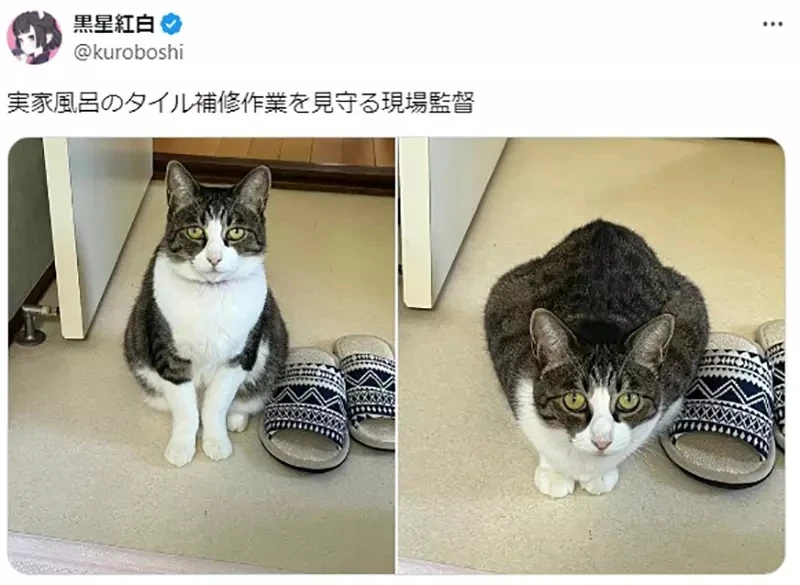 qZ6Sps_bw6XG3NSdw52elo3Y1d4.webp_11_27_2024