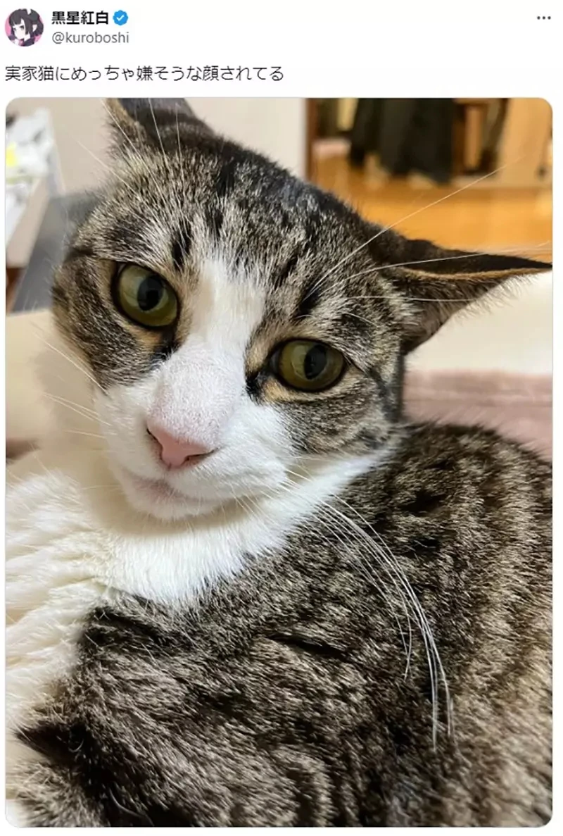 qZ6Sps_bw6aeqKWelZ2elY3Y1d4.webp_11_27_2024