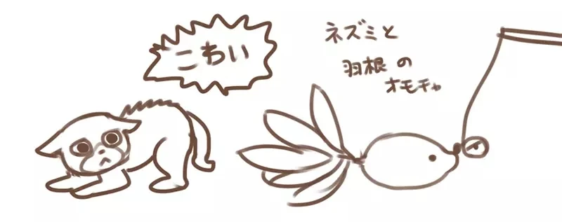 《绘师黑星红白的疑惑》家中猫猫超爱老鼠和羽毛逗猫棒 为什么合体成羽毛老鼠就会吓坏它?