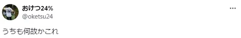 《绘师黑星红白的疑惑》家中猫猫超爱老鼠和羽毛逗猫棒 为什么合体成羽毛老鼠就会吓坏它?