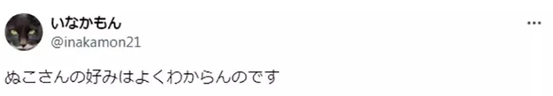 《绘师黑星红白的疑惑》家中猫猫超爱老鼠和羽毛逗猫棒 为什么合体成羽毛老鼠就会吓坏它?