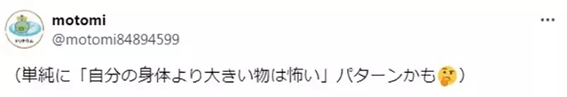 《绘师黑星红白的疑惑》家中猫猫超爱老鼠和羽毛逗猫棒 为什么合体成羽毛老鼠就会吓坏它?