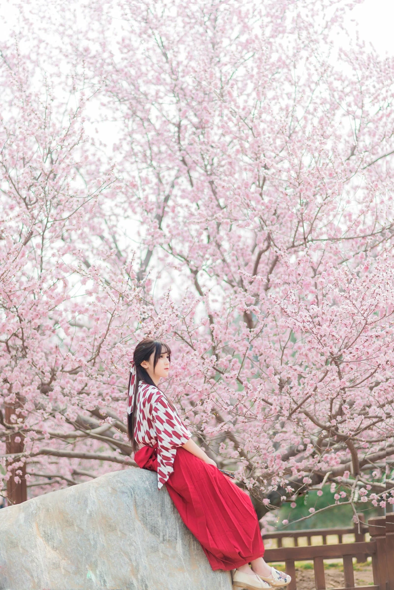 2017-01-23_22-20-46_11_28_2024