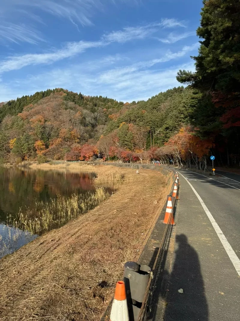 《富士山红叶砍光光》日本摄影师发文控诉 引发赞成与反对砍树派的激烈议论……