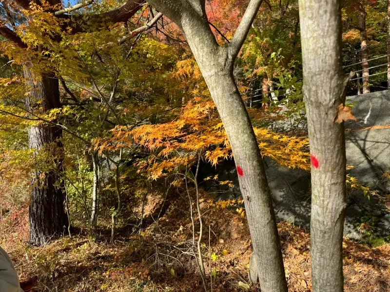 qZ6Wn6TJwqWd2teXmp2flo3Y1d4.webp_12_10_2024