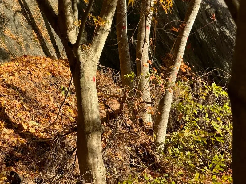 qZ6Wn6TJwqKW2tadxJ2fmI3Y1d4.webp_12_10_2024