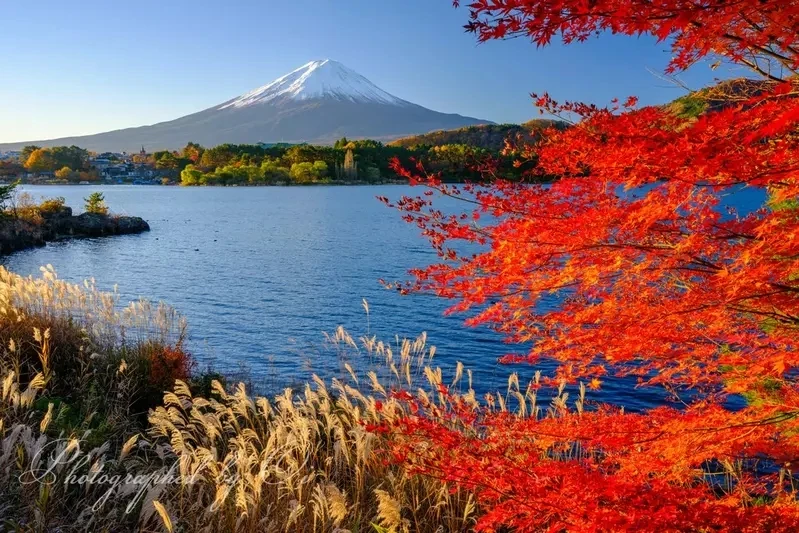 qZ6Wn6Sew6PHp6edkZ2dno3Y1d4.webp_12_10_2024