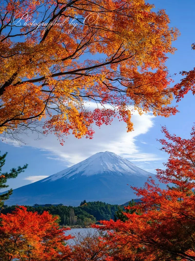 qZ6Wn6Sew8_WrdjLw52elY3Y1d4.webp_12_10_2024