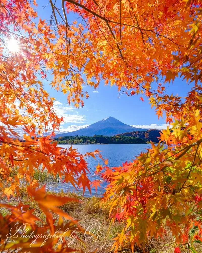 qZ6Wn6Sew6PIq9TLmJ2elo3Y1d4.webp_12_10_2024