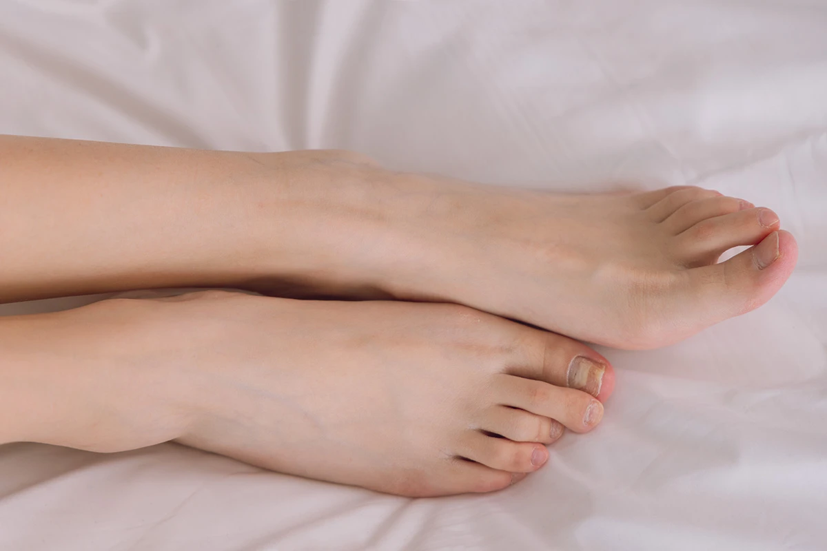 287 (108)_12_10_2024