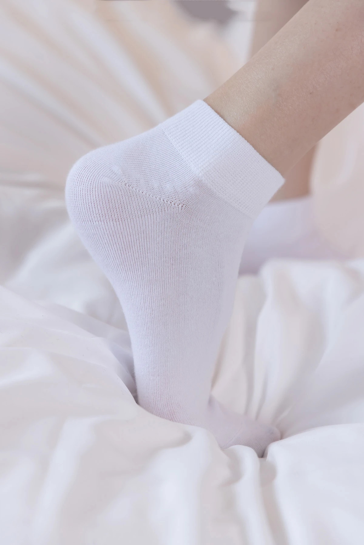 291 (126)_12_10_2024