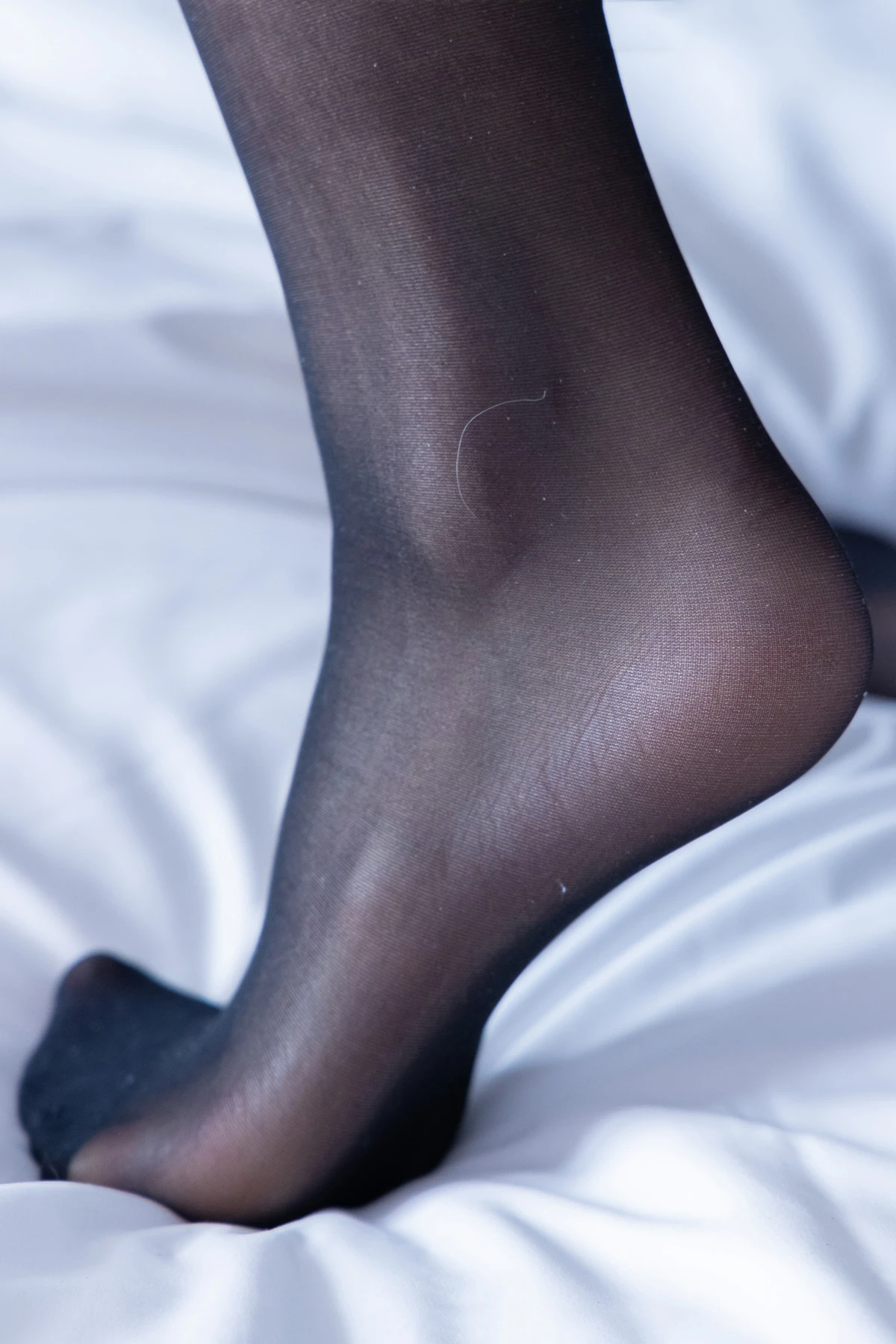 364 (127)_12_12_2024