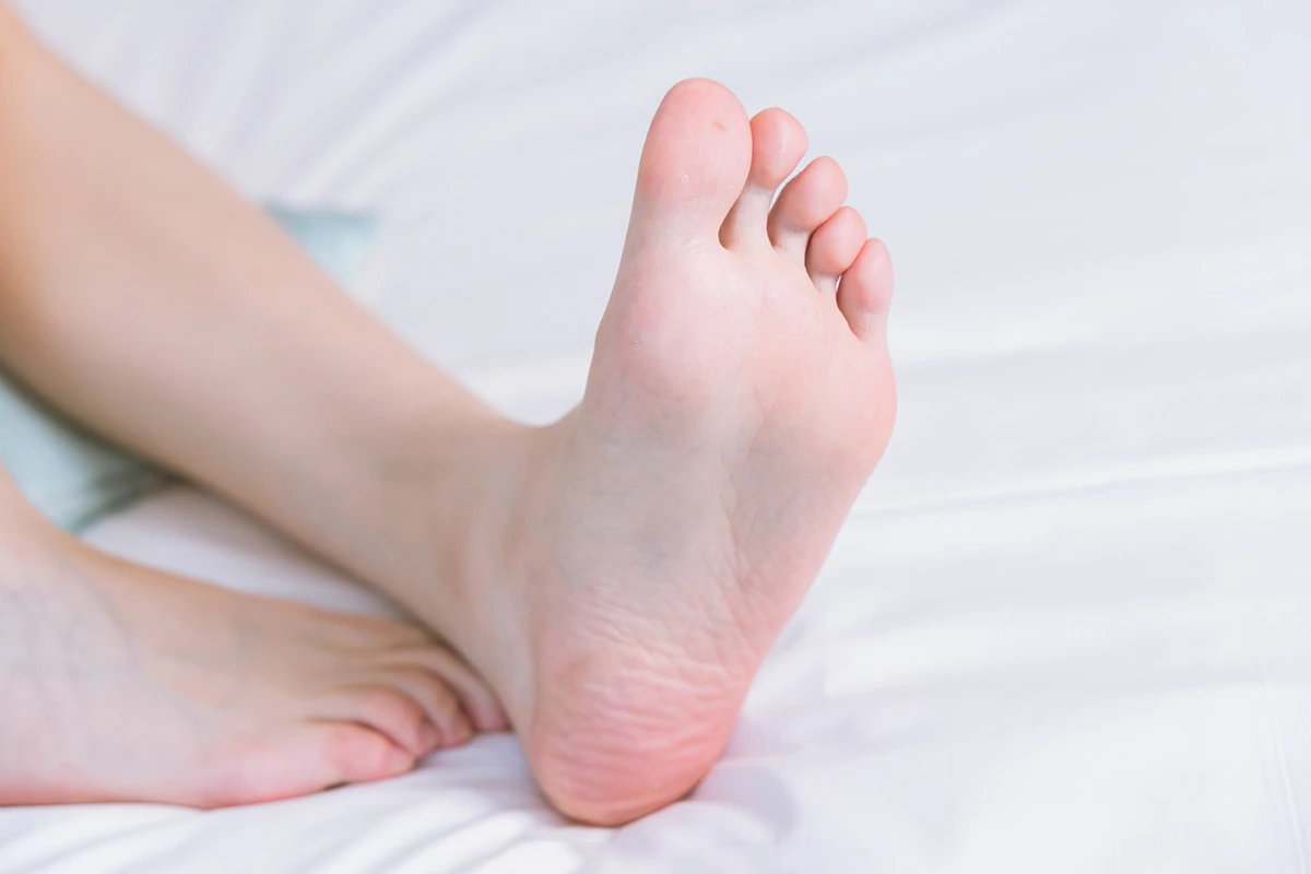 345 (108)_12_13_2024