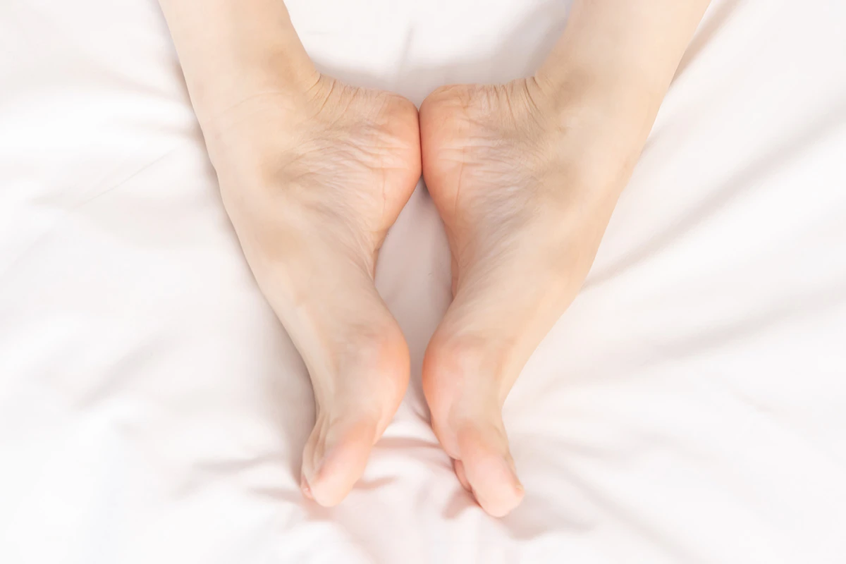 337 (161)_12_14_2024