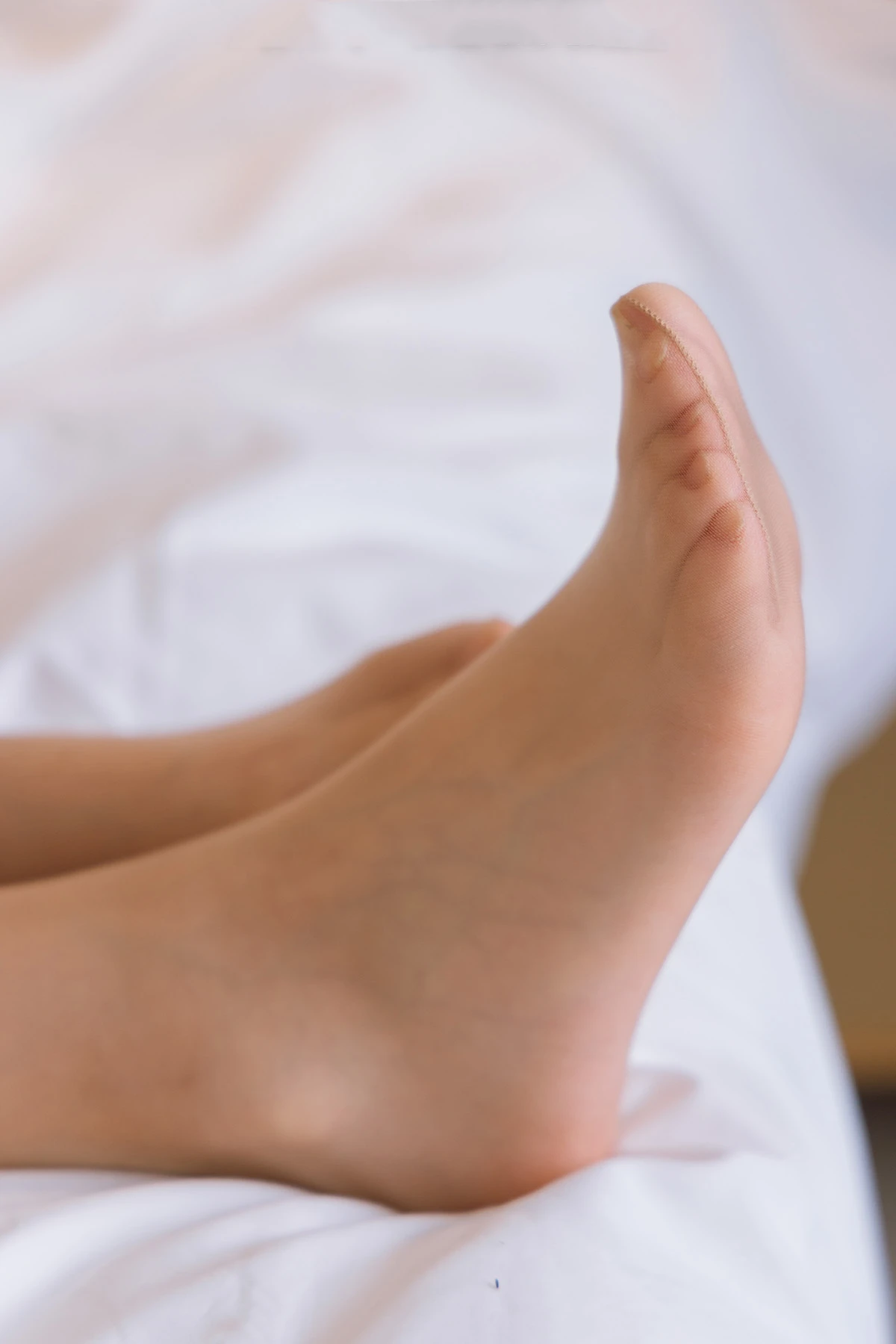 329 (113)_12_14_2024