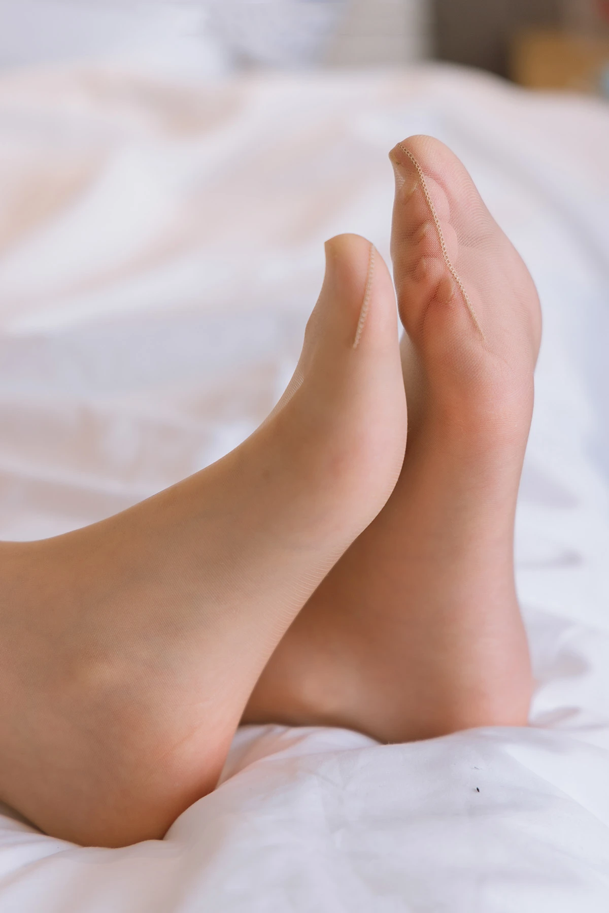 329 (123)_12_14_2024