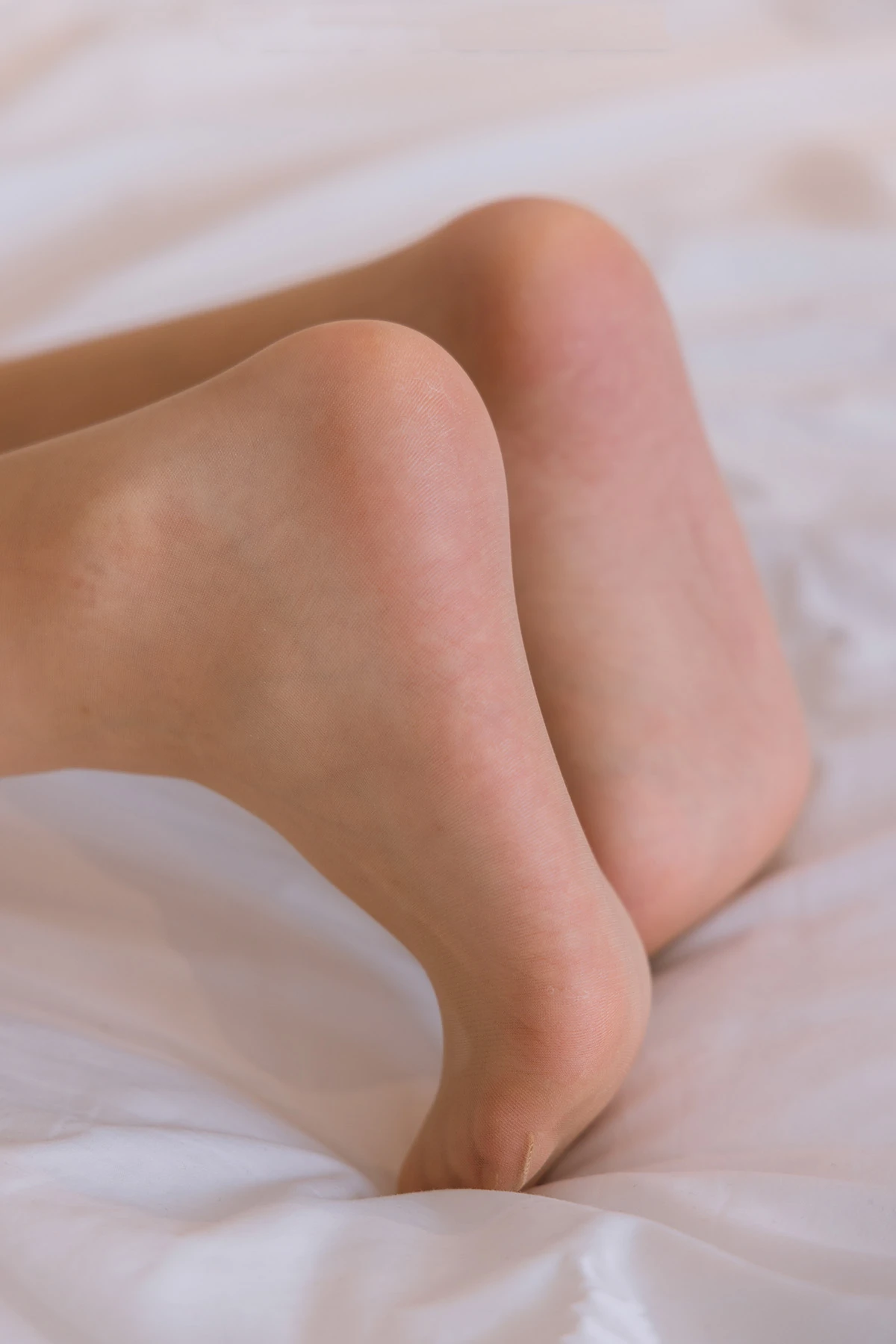 329 (133)_12_14_2024