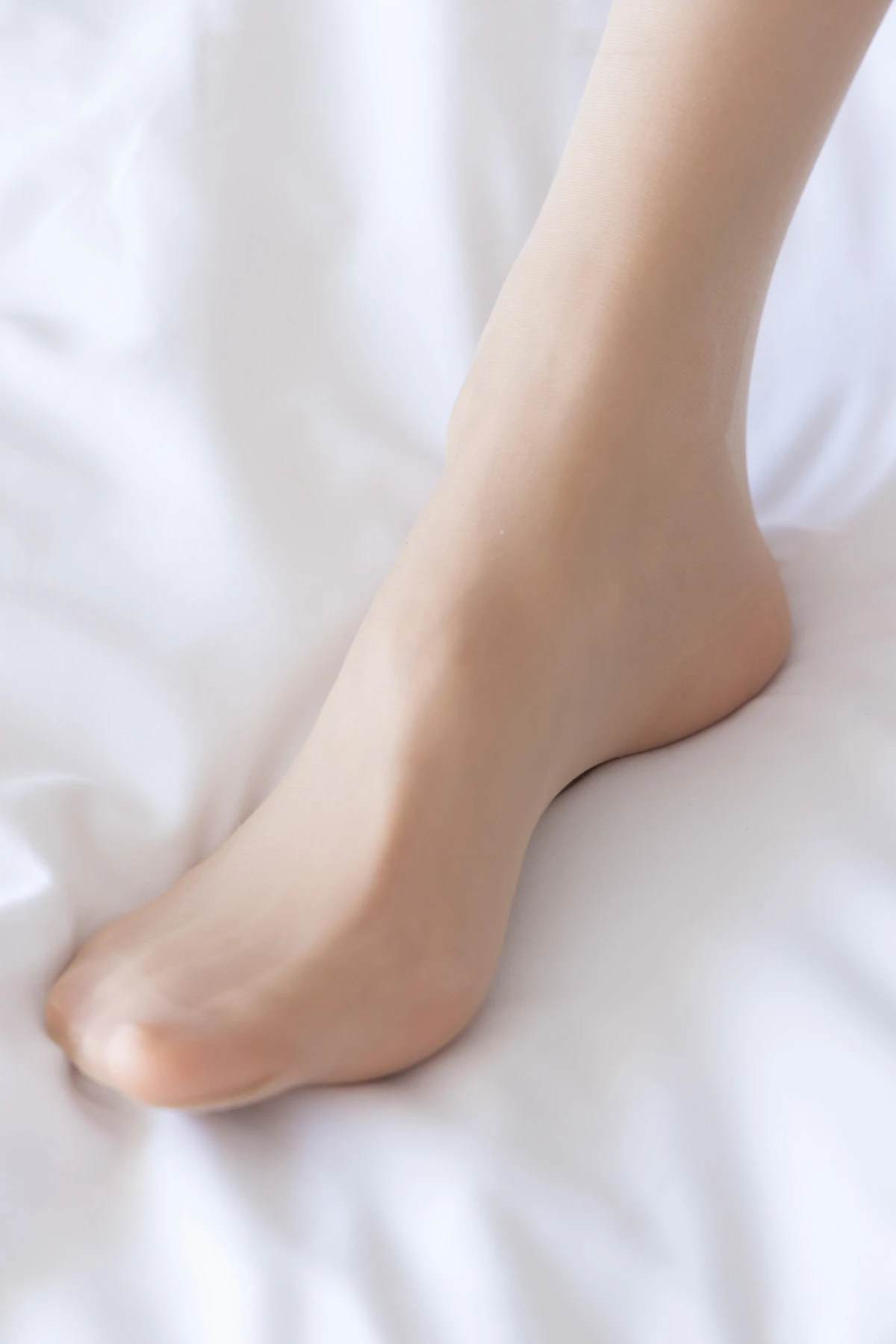 316 (112)_12_14_2024