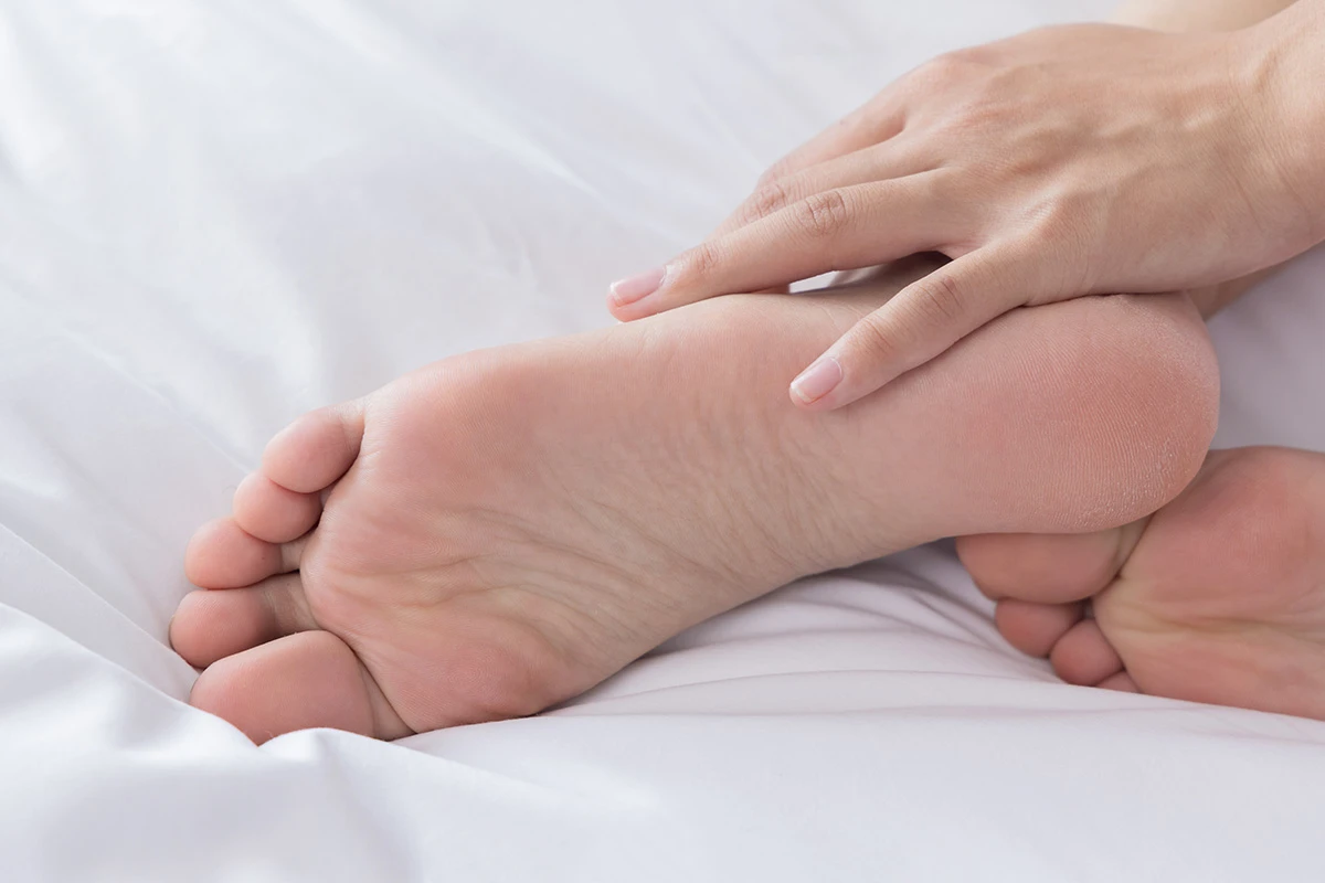 301 (186)_12_16_2024