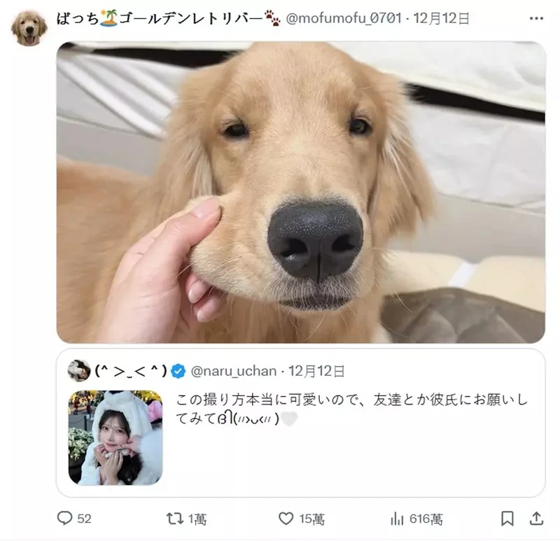 qZ6XndLJxKTJp9nLxp2dmY3Y1d4.webp_12_18_2024