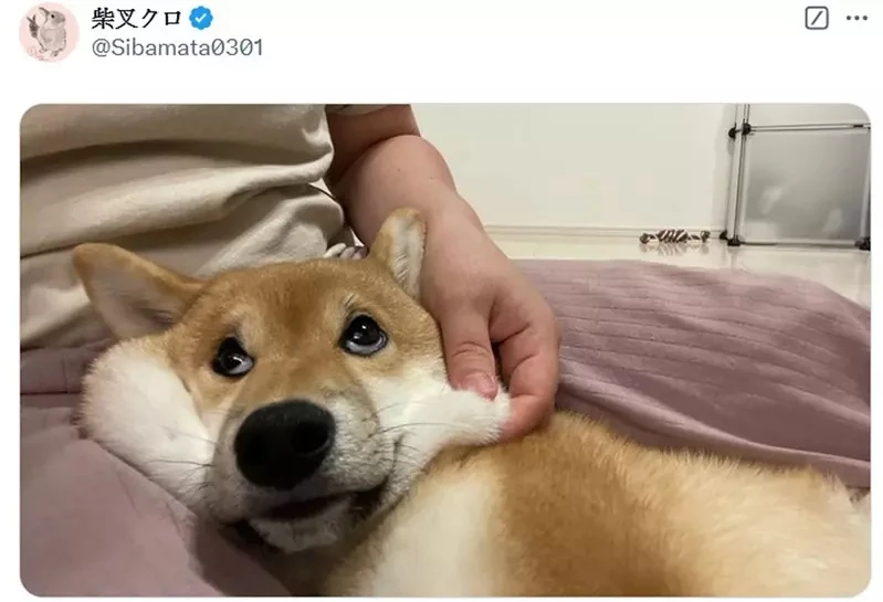 qZ6XndLJxKGcrKWYx52dmo3Y1d4.webp_12_18_2024