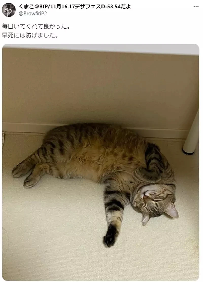 《CG师工作久坐的健康秘诀》脚边没有这个一定会早死？说的是左边还是右边的呢？