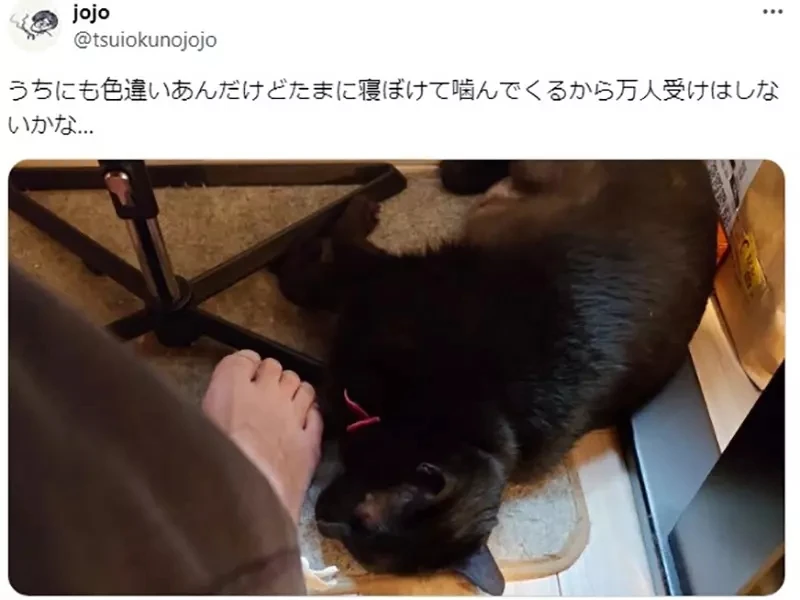 《CG师工作久坐的健康秘诀》脚边没有这个一定会早死？说的是左边还是右边的呢？