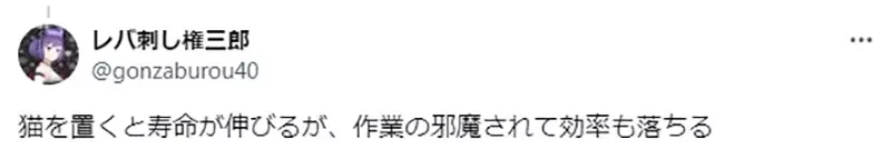 《CG师工作久坐的健康秘诀》脚边没有这个一定会早死？说的是左边还是右边的呢？