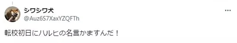 《留学生对日本学校失望了》没有手握大权的学生会 也没有双麻花辫眼镜娘班长