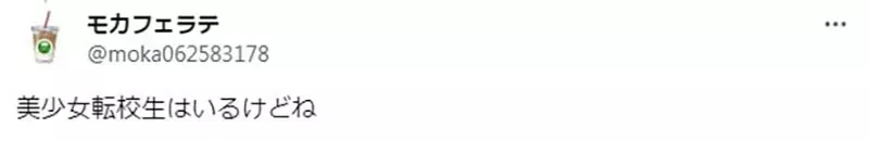 《留学生对日本学校失望了》没有手握大权的学生会 也没有双麻花辫眼镜娘班长