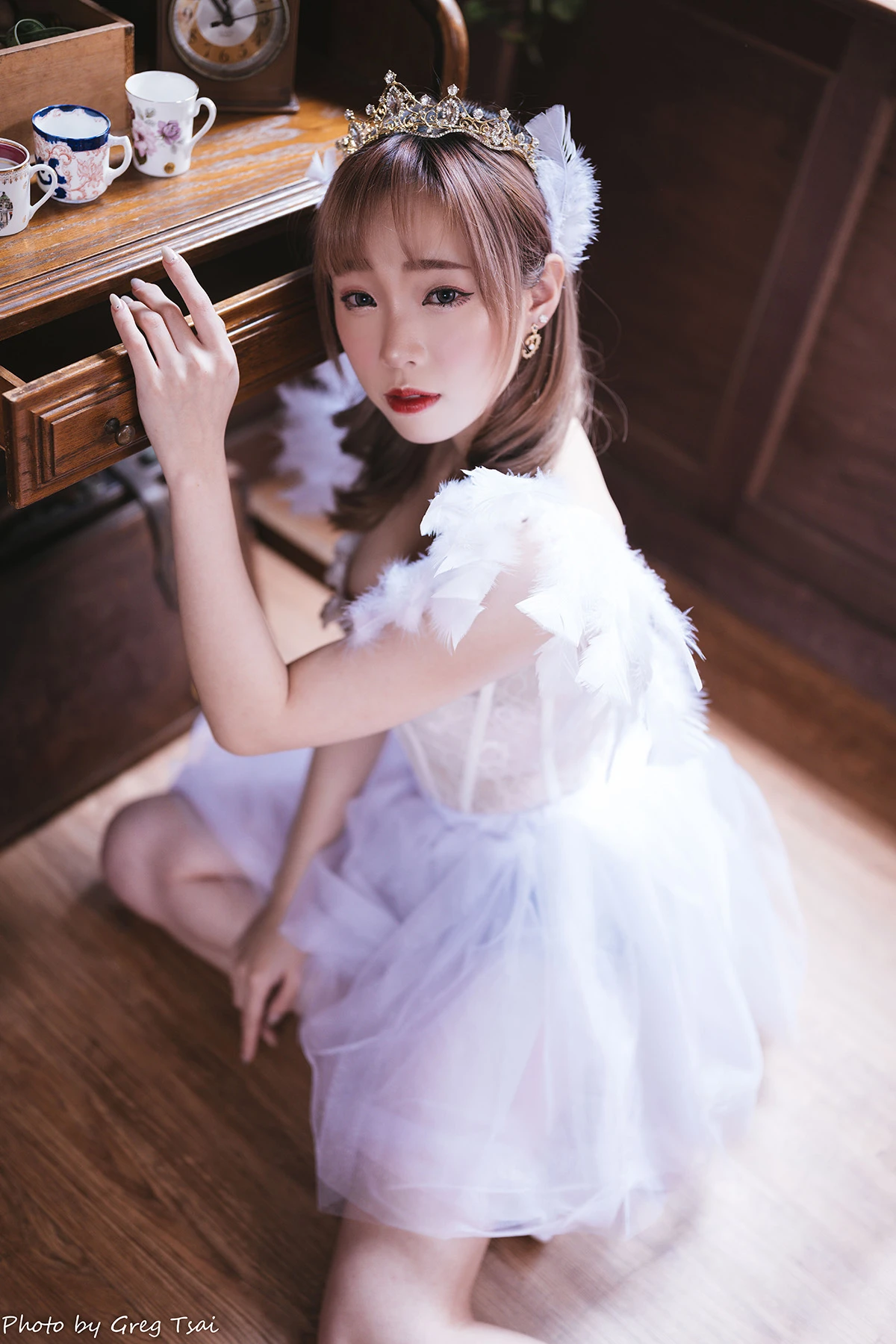 白天鹅 (1)_12_24_2024