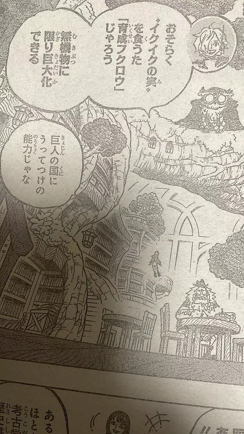 《去了去了果实》航海王最新话让读者傻眼了 新果实能力是让人大喊已哭已哭吗?