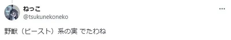 《去了去了果实》航海王最新话让读者傻眼了 新果实能力是让人大喊已哭已哭吗?