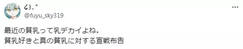 《论贫乳的定义》最近的定义变大了?这种现象让贫乳爱好者相当受不了